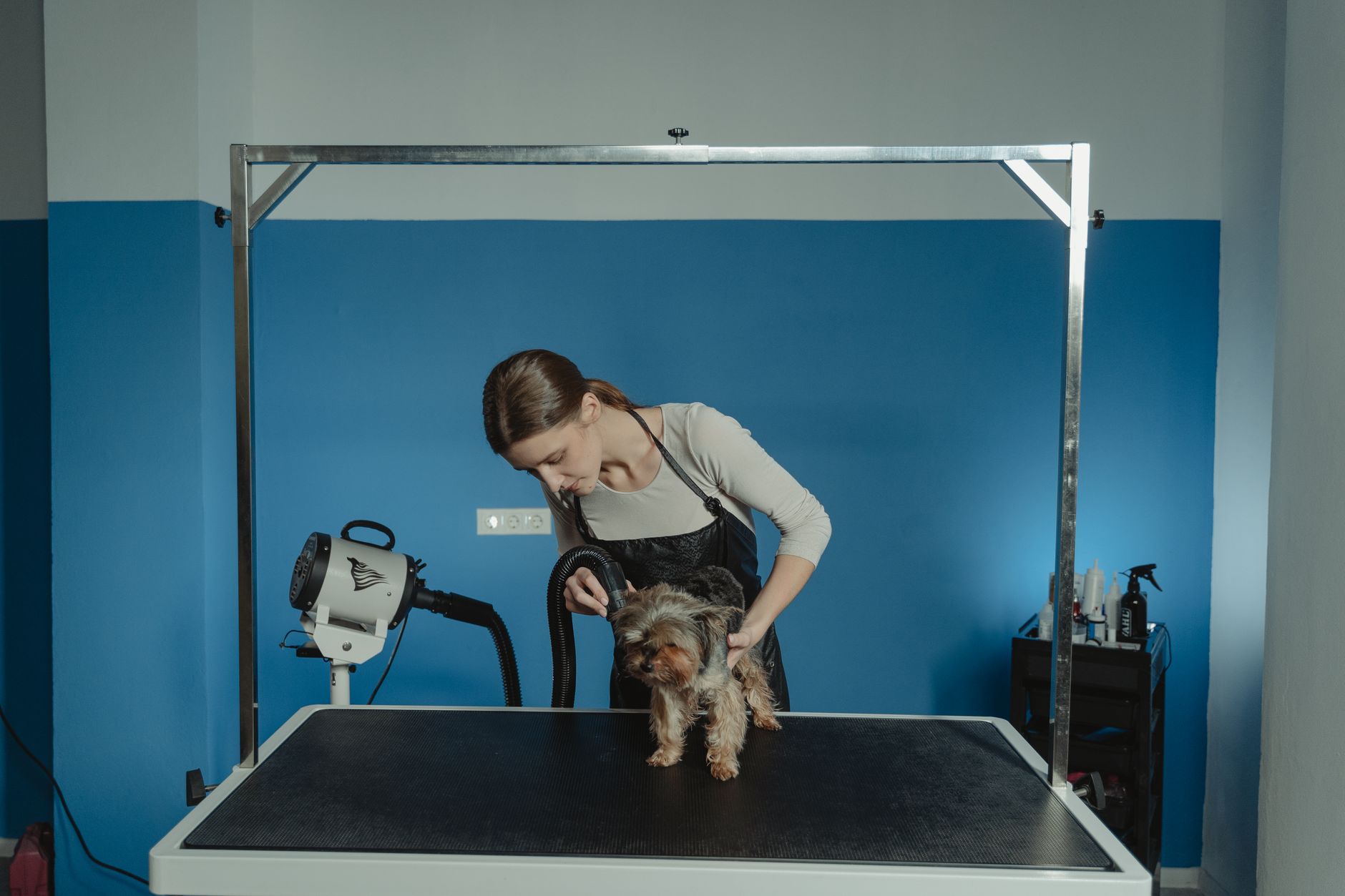Grooming salon · Doral, FL