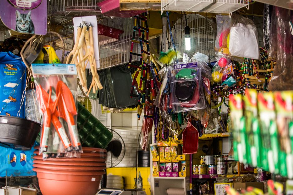 Independent pet shop · Hialeah, FL