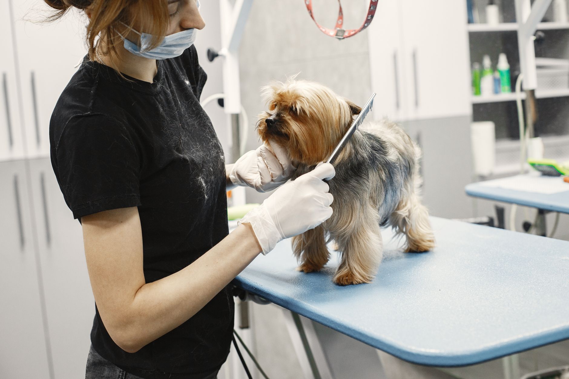 Grooming supplies program