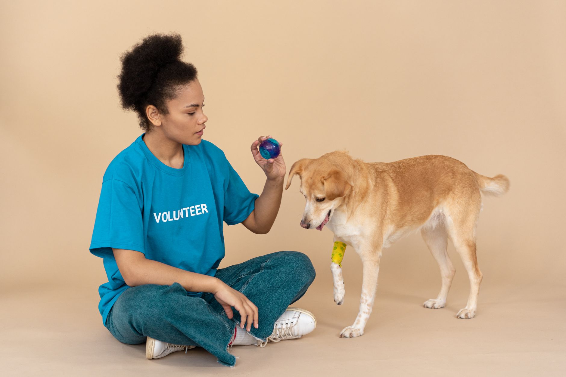 Rescue & shelter support