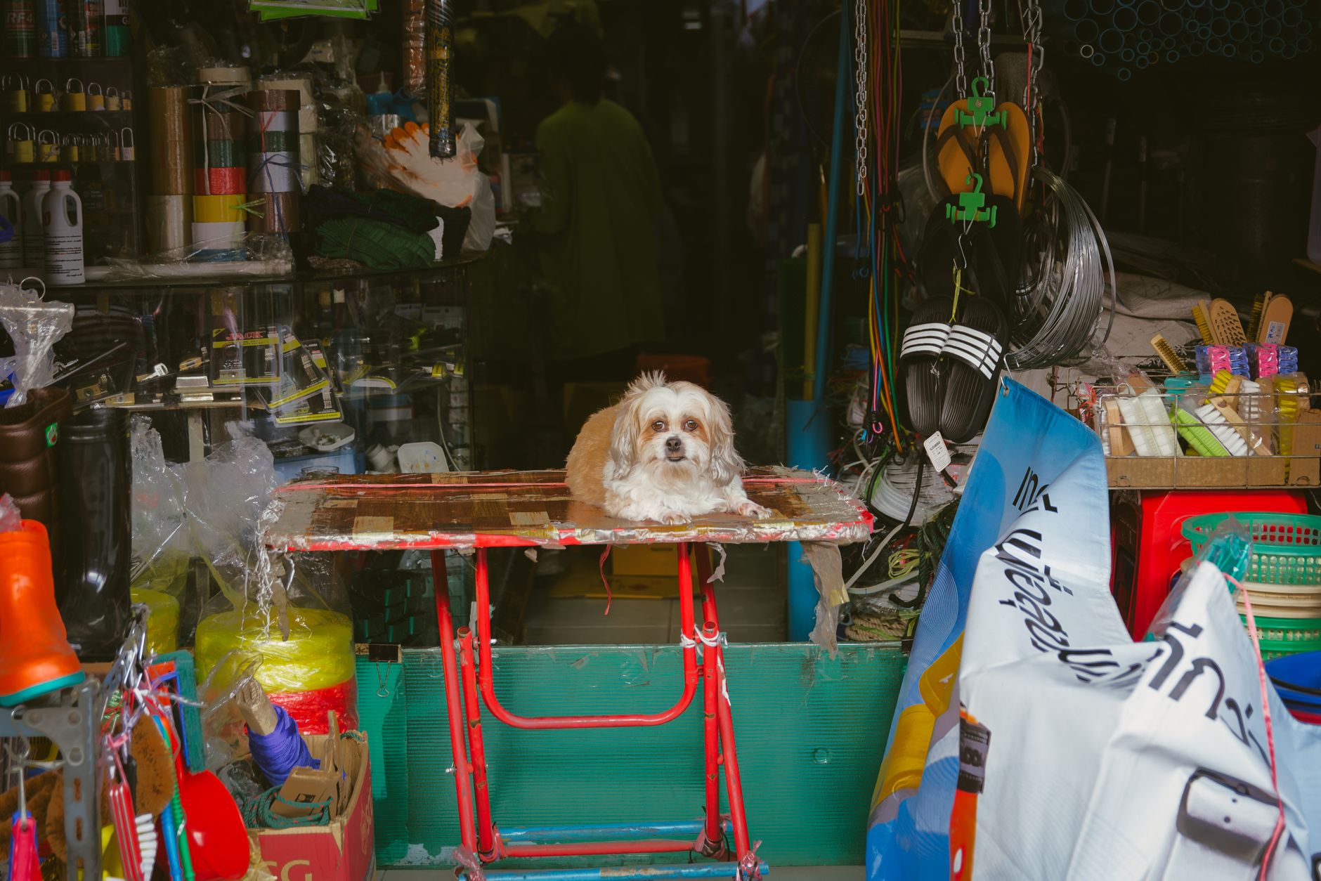 Wholesale for pet businesses